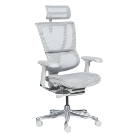 Ергономичен стол ERGOHUMAN IOO ELITE 2 - сива рамка - сив Ергономичен стол ERGOHUMAN IOO ELITE 2 - сива рамка - сив