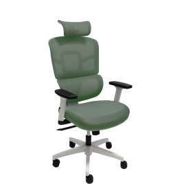 ERGO WHITE - ERGO GREEN ERGO WHITE - ERGO GREEN