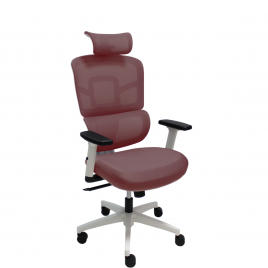 ERGO WHITE - ERGO RED