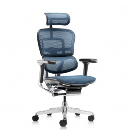 Ergohuman NEW Colors - Ergohuman Blue Ergohuman NEW Colors - Ergohuman Blue