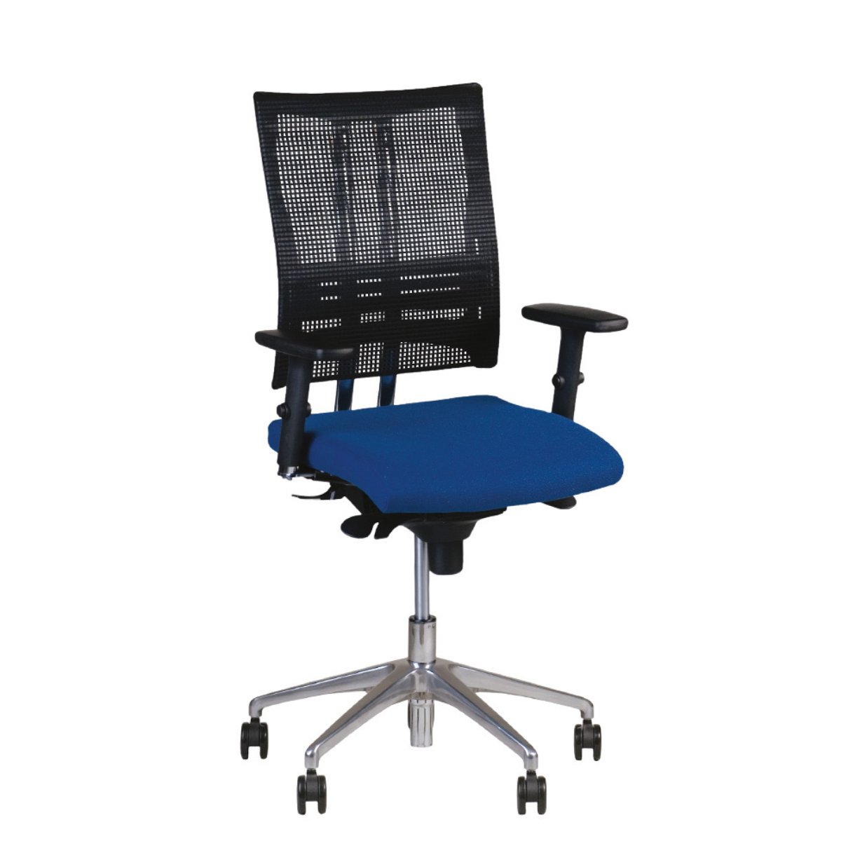 @-motion Mesh