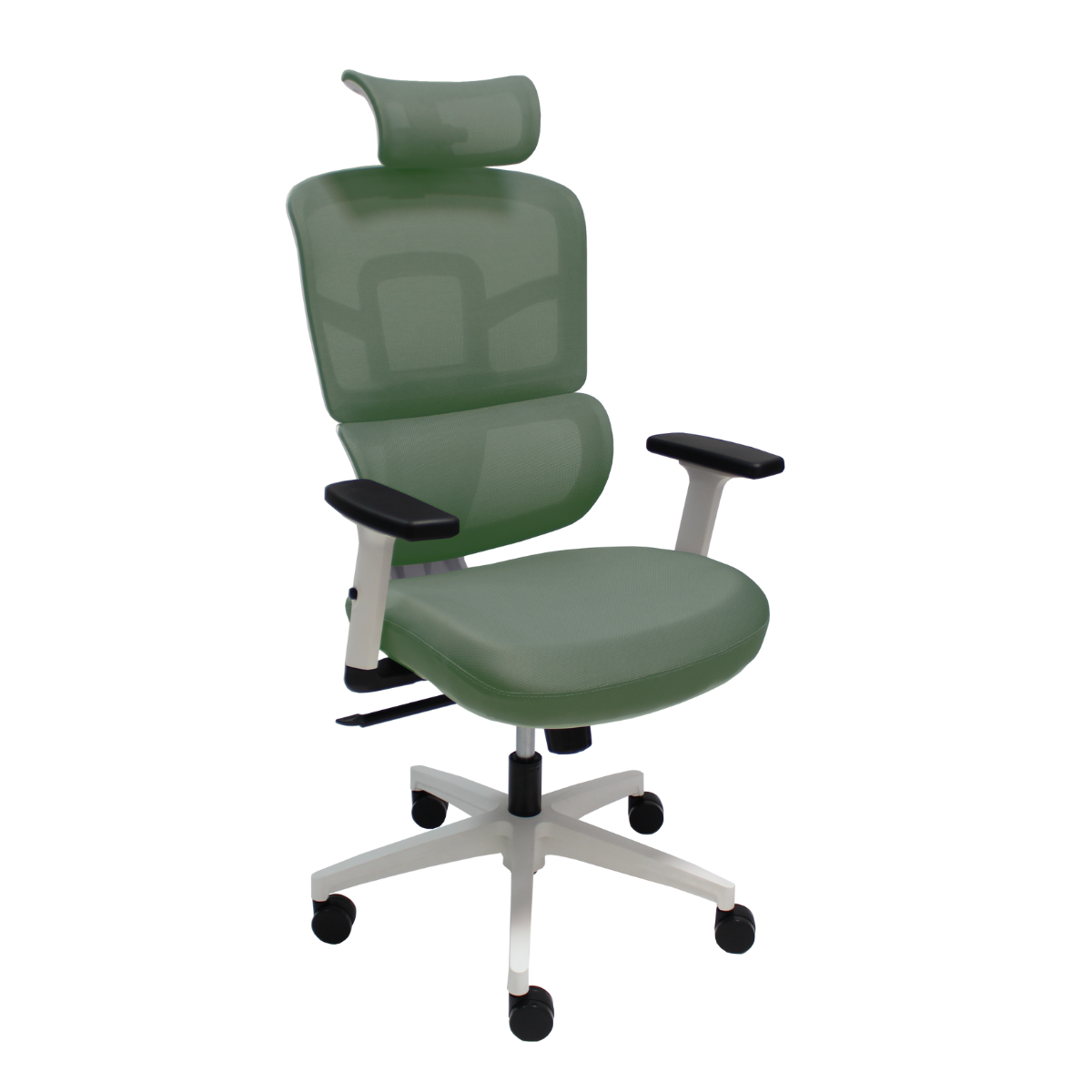 ERGO WHITE - ERGO GREEN